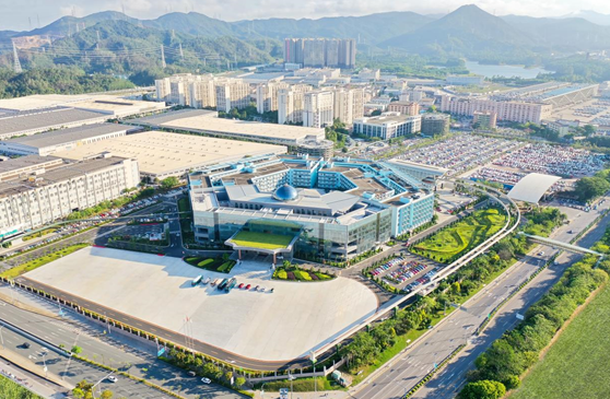/zonghebaodao/456697.html